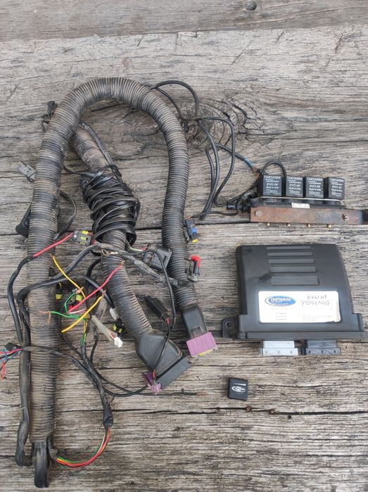 Гбо 4 покоління tartarini