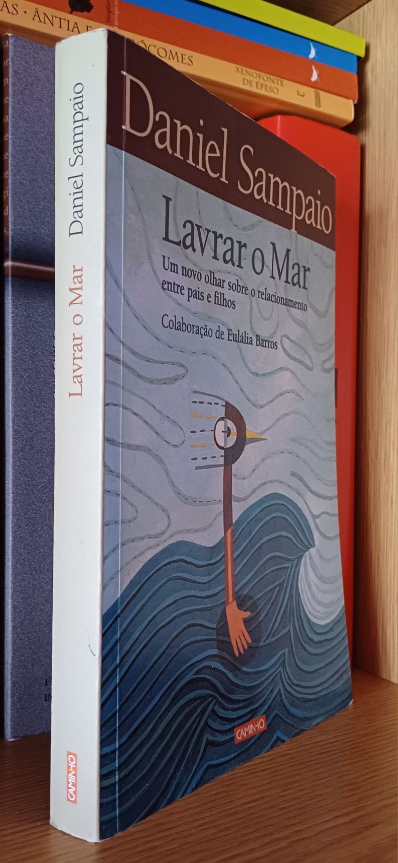 Livro "Lavrar o Mar", de Daniel Sampaio