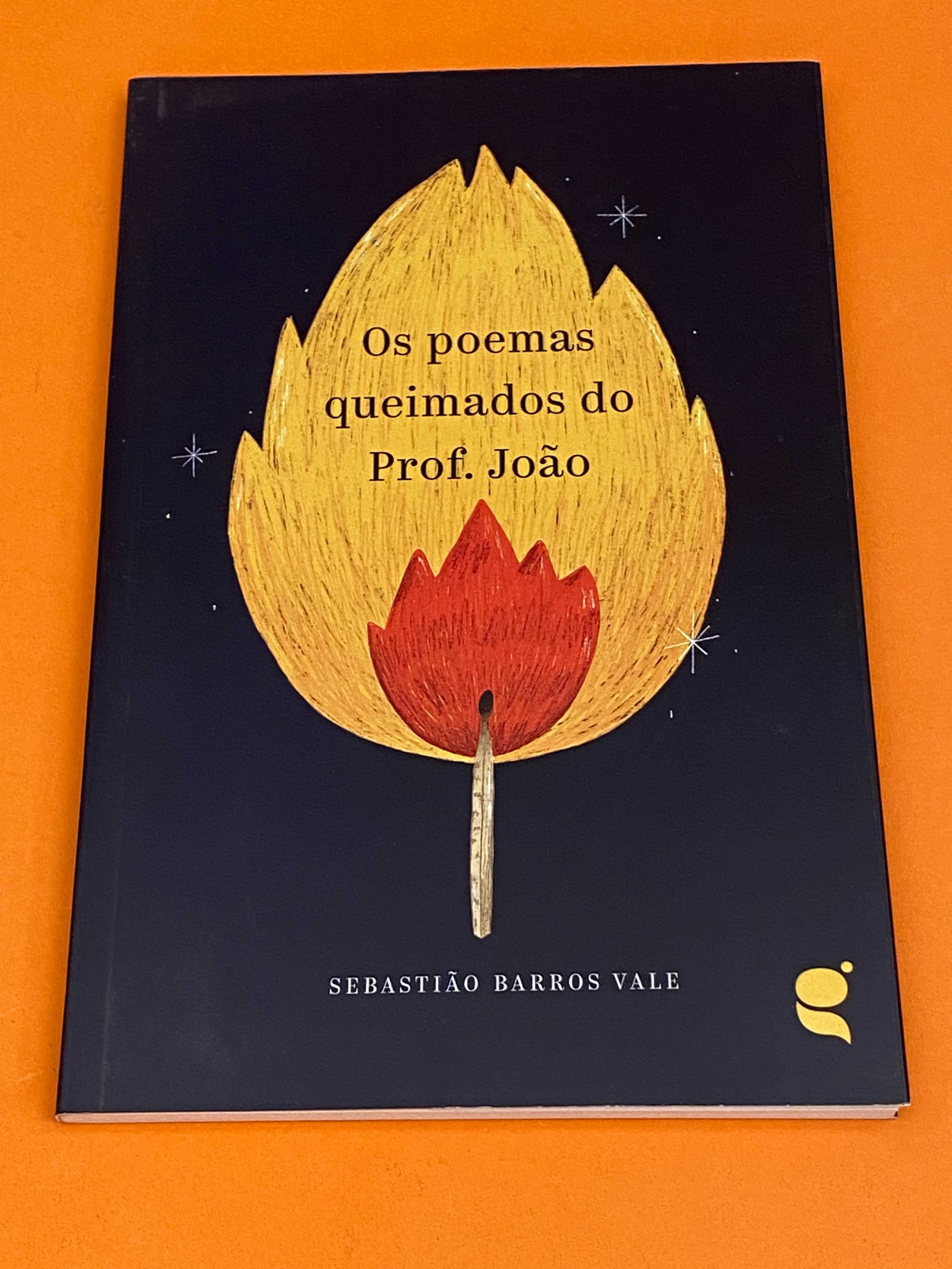 Os poemas queimados do Prof. João - Sebastião Barros Vale