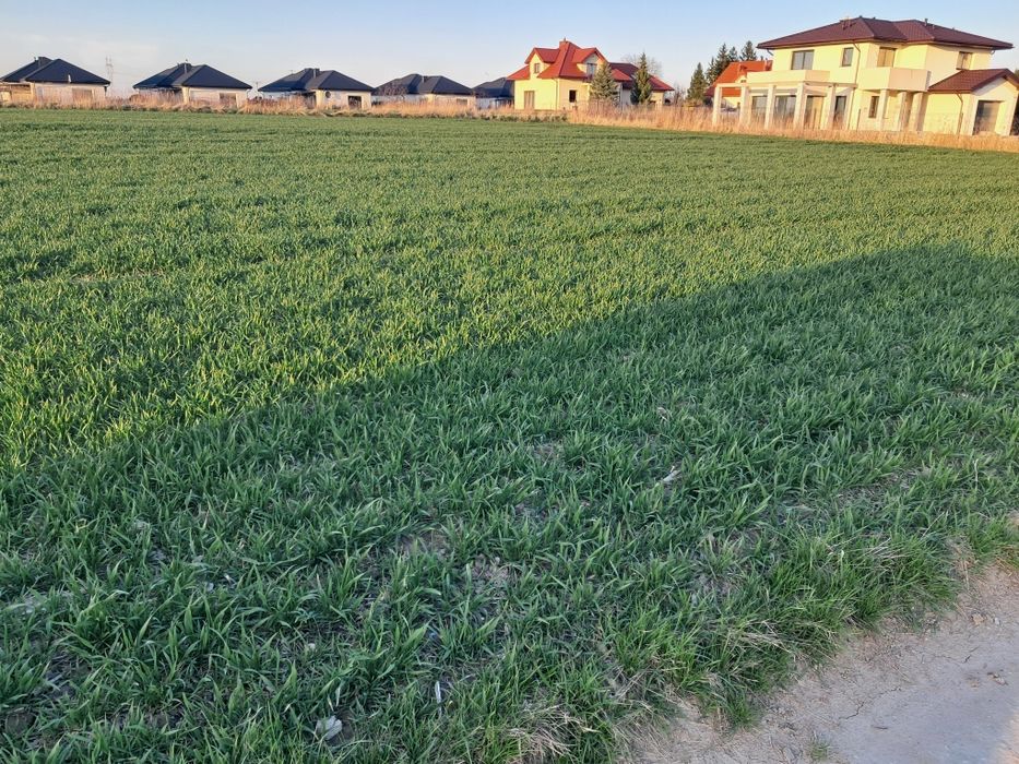 Działka budowlana 15a w Dominowie gm. Głusk