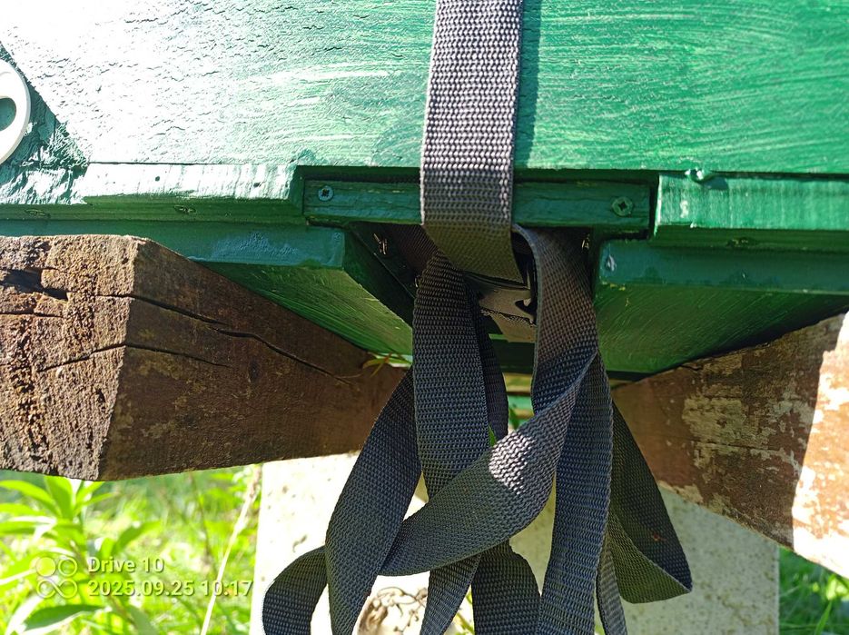 Ul Ule wielkopolskie odkładowe, odkładowy, odkładówka