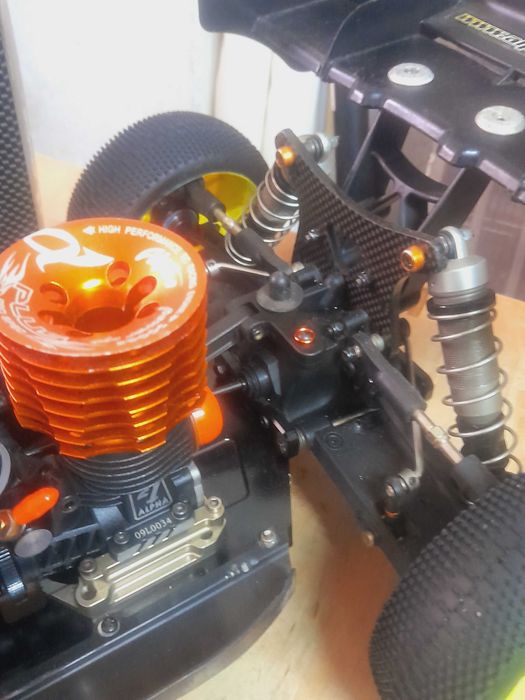 Buggy Hot Bodies d815