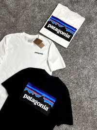 Patagonia T-shirt