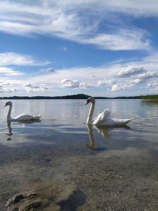 Domek letniskowy nad samym j.Narie Bogaczewo.50 m do plaży.