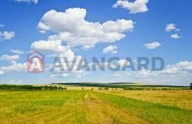Приватизована земля 10 соток (с. Сотницьке)