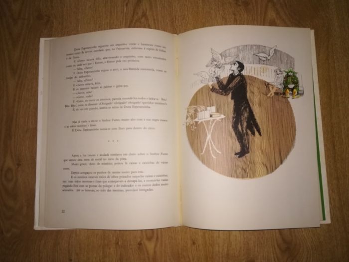 Livro -O palhaço Verde -(Antiguidade 1976)