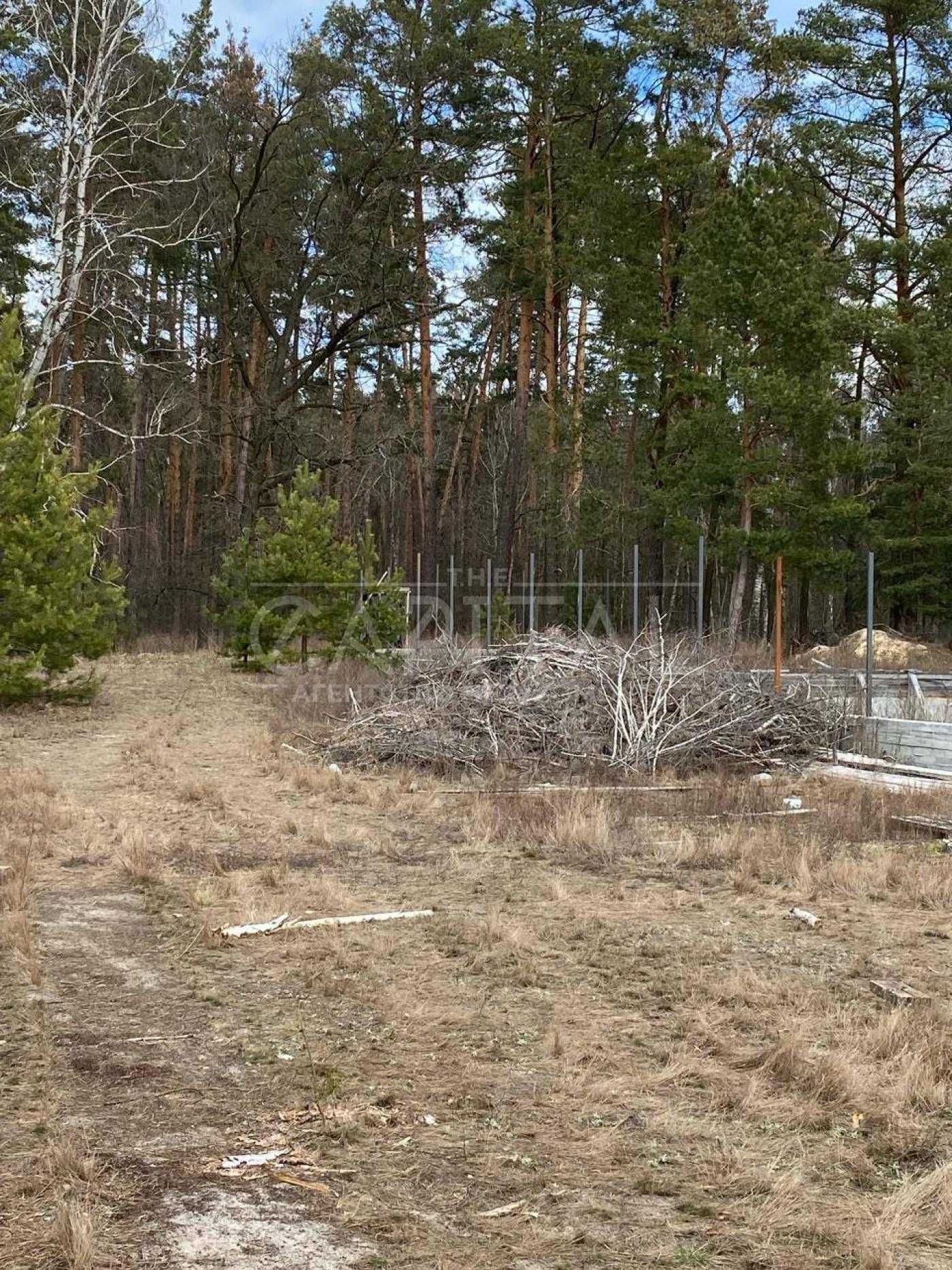 Земельна ділянка / Хотяновка / Вишгородський район / 24 сотки