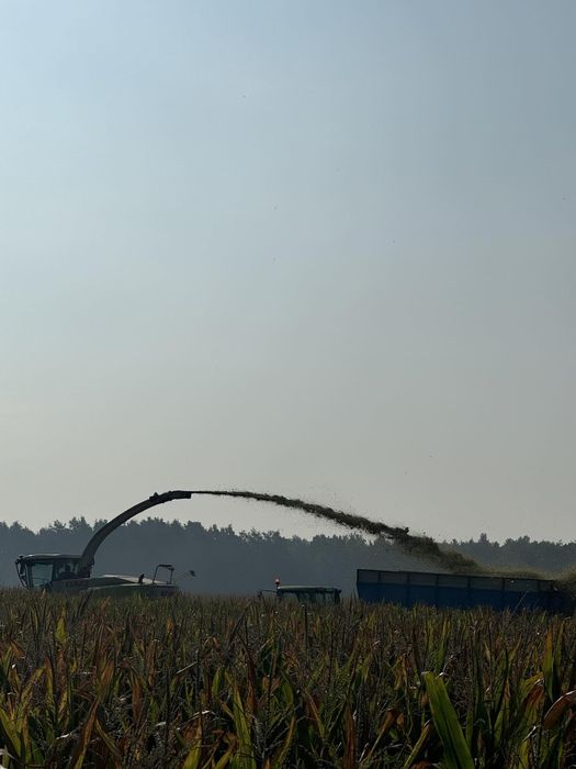 usługi rolnicze zbiór trawy sieczkarnią i przyczepą agrokomplex