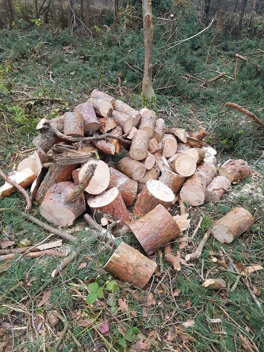 Drewno opałowe i kominkowe