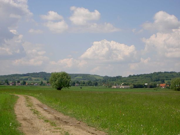 Pięknie położona działka 17ar w Markuszowej na Podkarpaciu