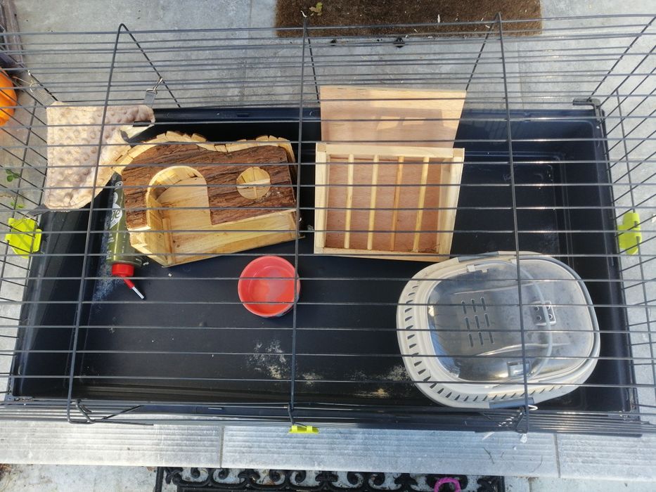 Duża klatka dla krolika, świnki morskiej