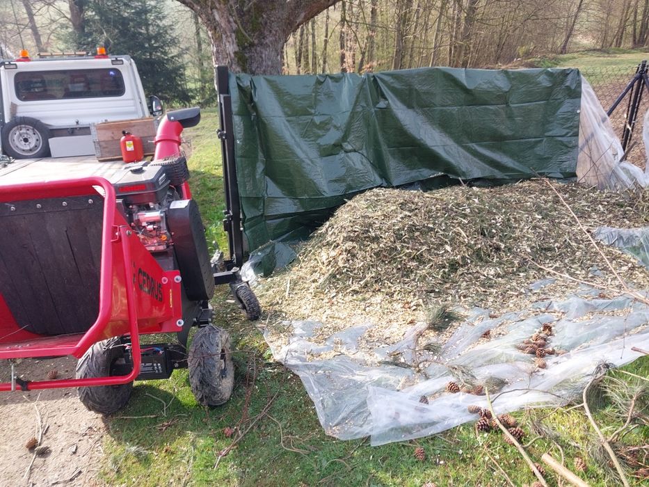 Usługi Przycinania  Tui, Krzewów żywopłotów , drzewek owocowych,