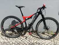 Bicicleta carbono coluer stake