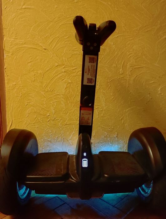 Seagwey ninebot mini pro