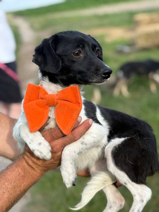 Шукаємо родину для маленької дівчинки