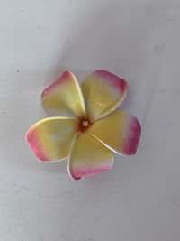 Kwiatek hawajski różowy