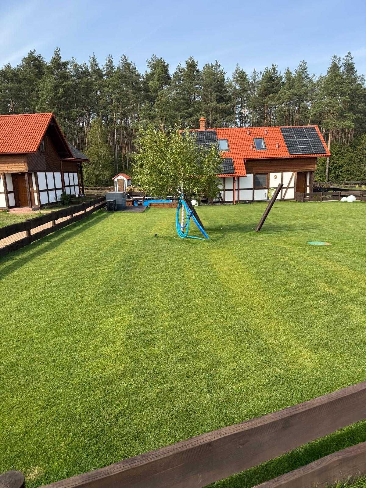 Usługa Glebogryzarki Separacyjnej Przygotowanie gleby pod nowy trawnik