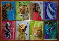 Karteczki Zwierzęta - A5