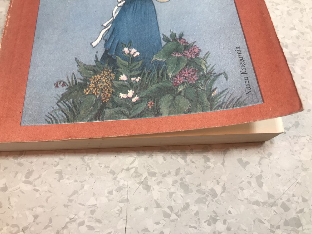 Rilla ze Złotego Brzegu - L. Maud Montgomery