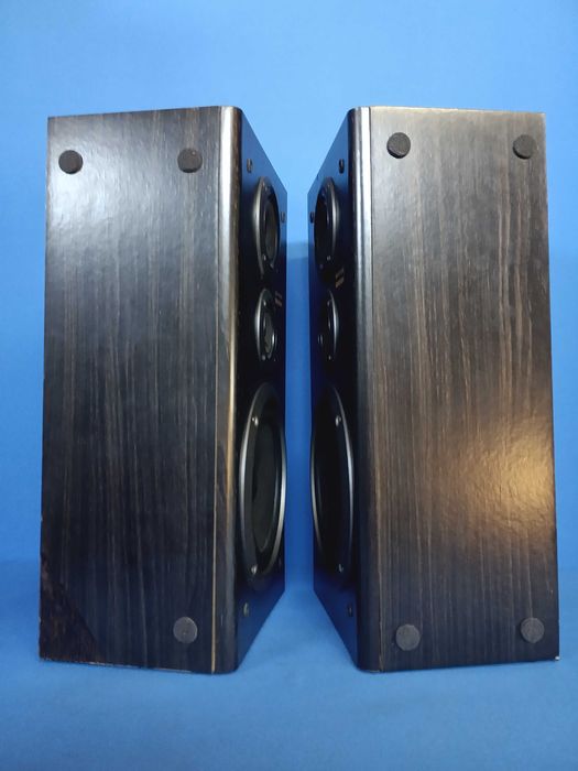 colunas PIONEER S-J300