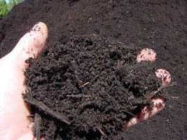 Bio kompost 100% naturalny, zielony.