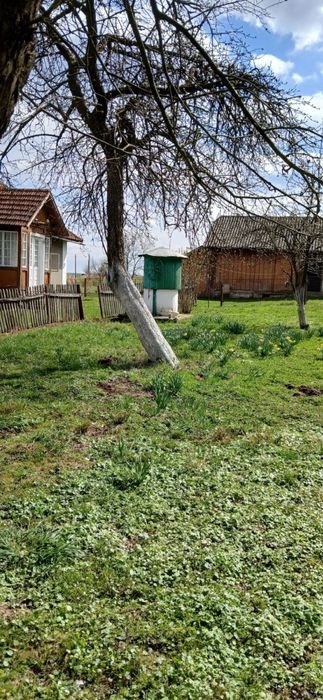 Продаж будинку с.Болехівці