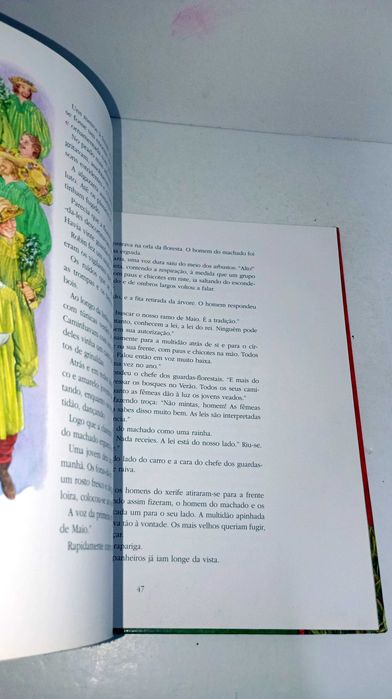 A História de Robin dos Bosques