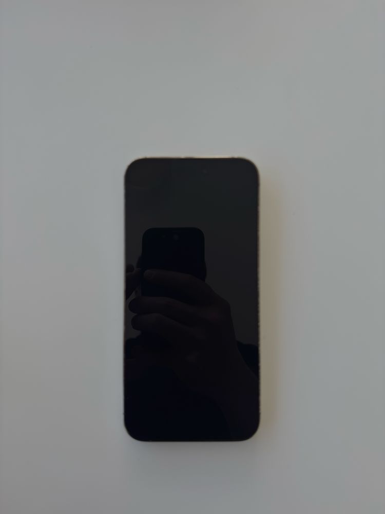 iPhone 14 Pro Max 256GB Dourado - Excelente Estado