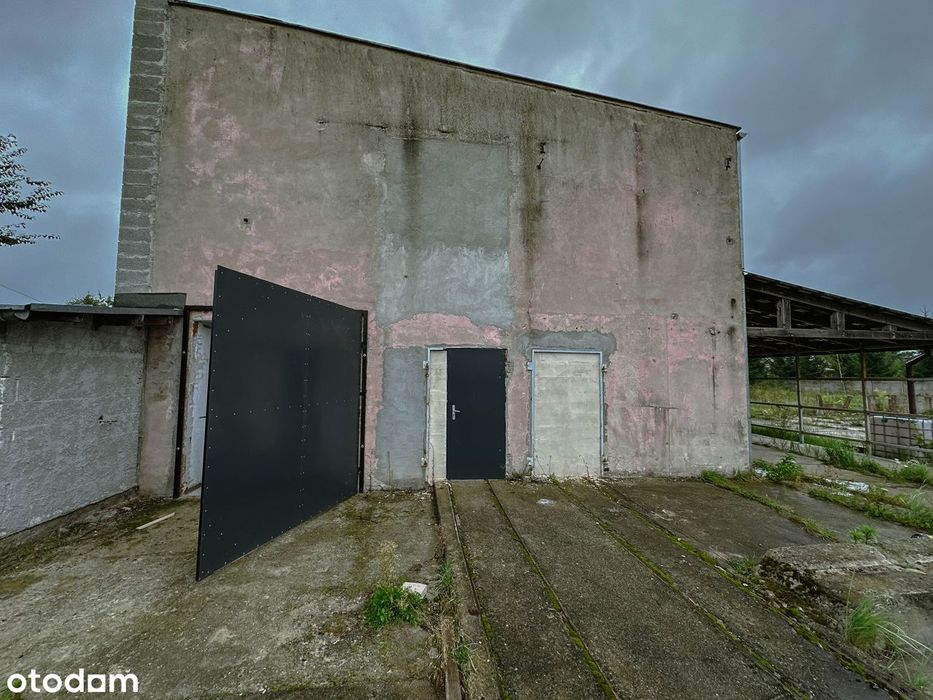 Do Wynajęcie Hala 150 m2 + 50m2 pomieszczeń towarzyszących