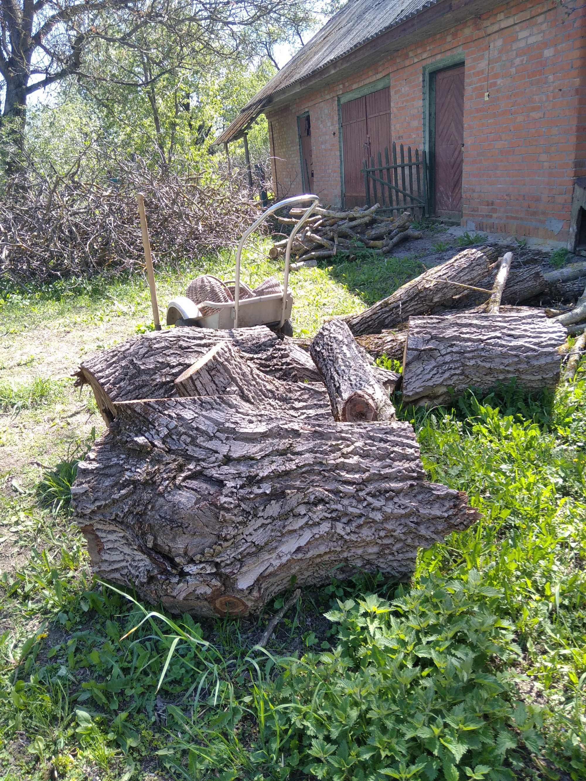 Продам дрова горіхові метрові.