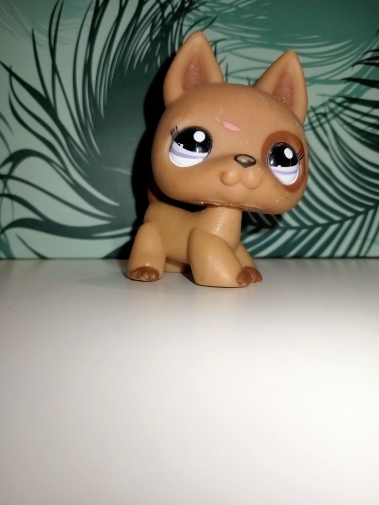 LPS Owczarek niemiecki #1191 German Sherpherd Hasbro Orginał