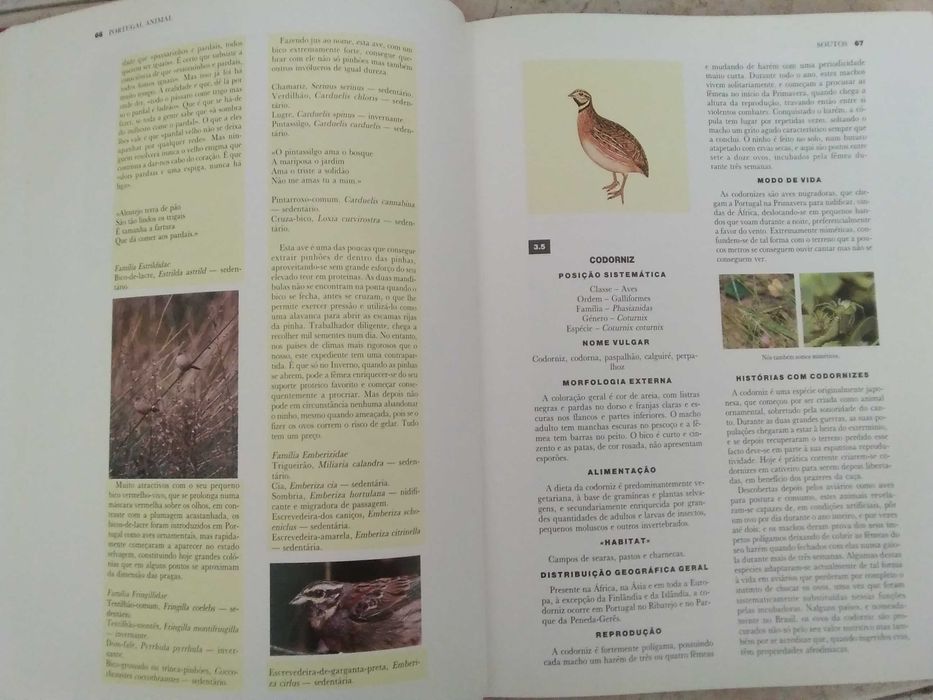 Livro  Portugal Animal