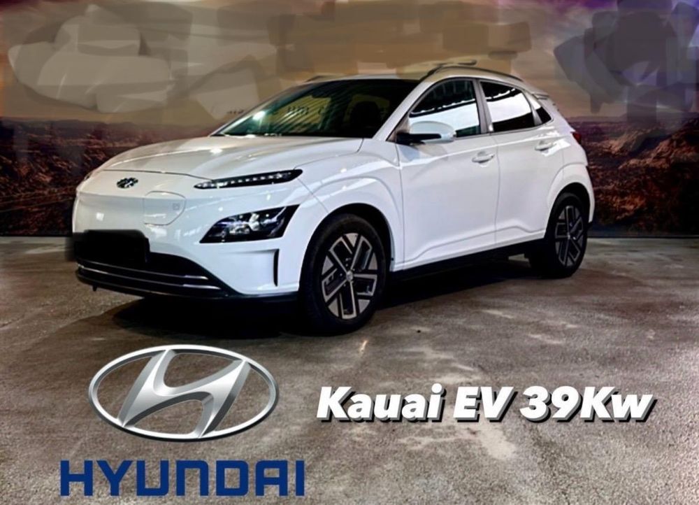 Hyundai kauai eletric