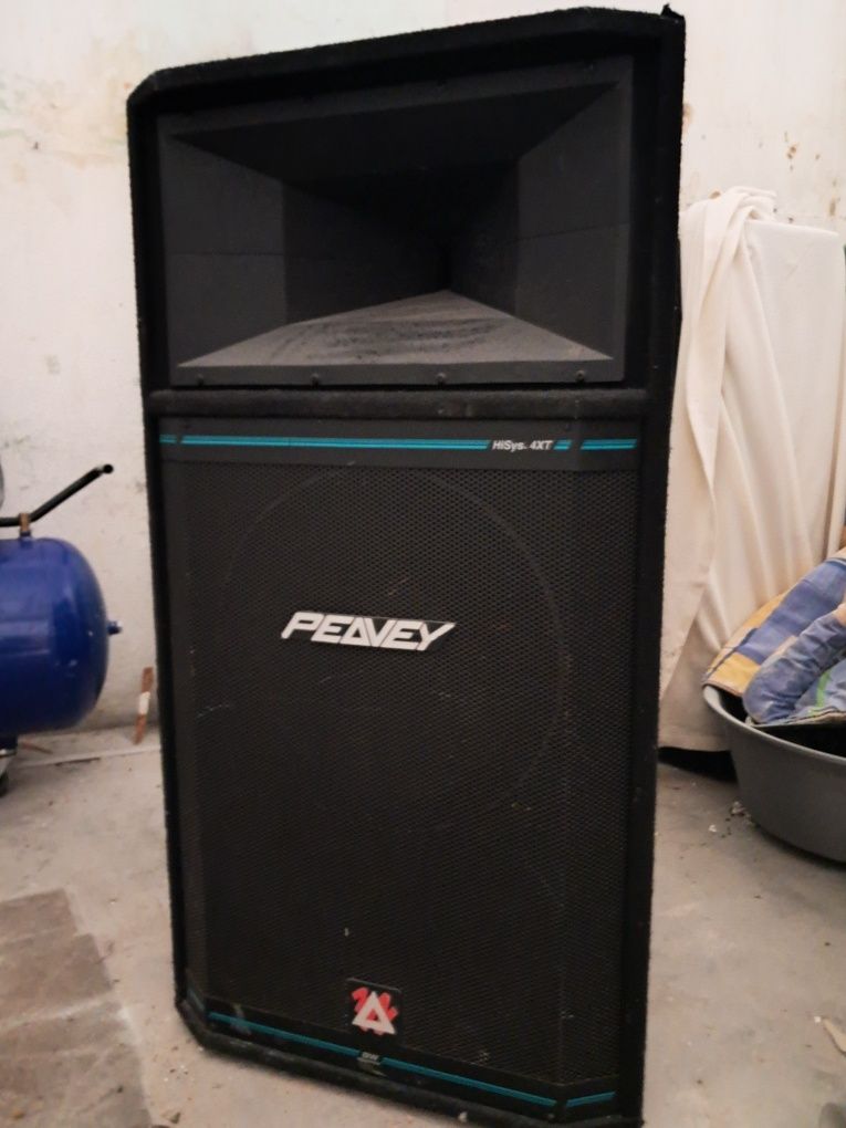 Colunas profissionais Peavey 700 RMS