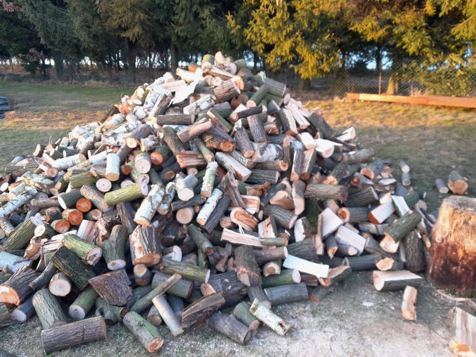 Drewno kominkowe opałowe do kominka do pieca