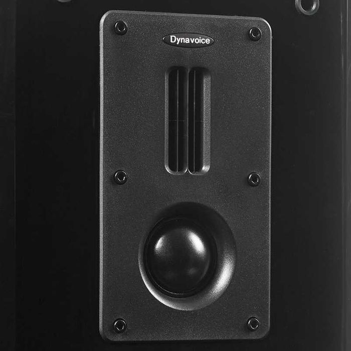 Kolumny Dynavoice Definition DM-6 + przewód GRATIS!