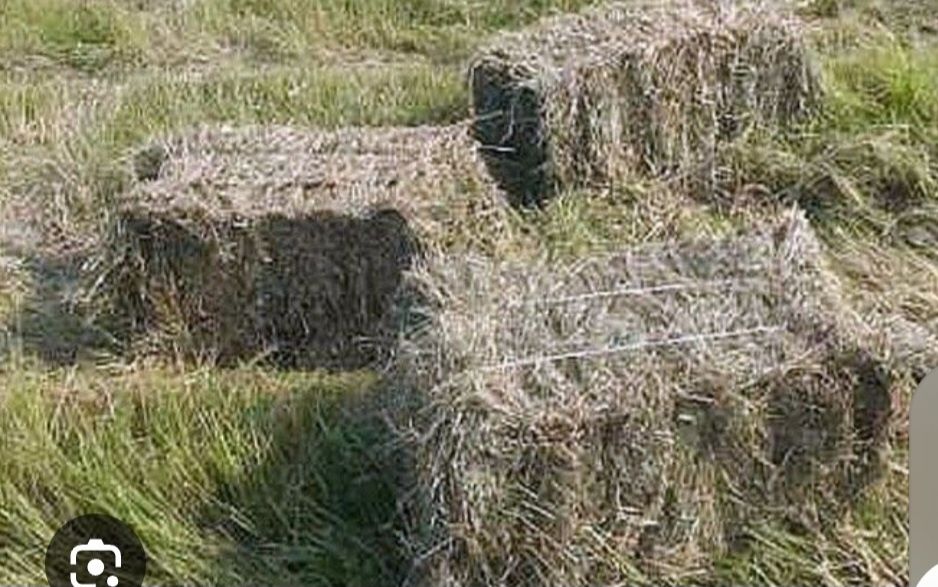 Сіно різнотрав'я