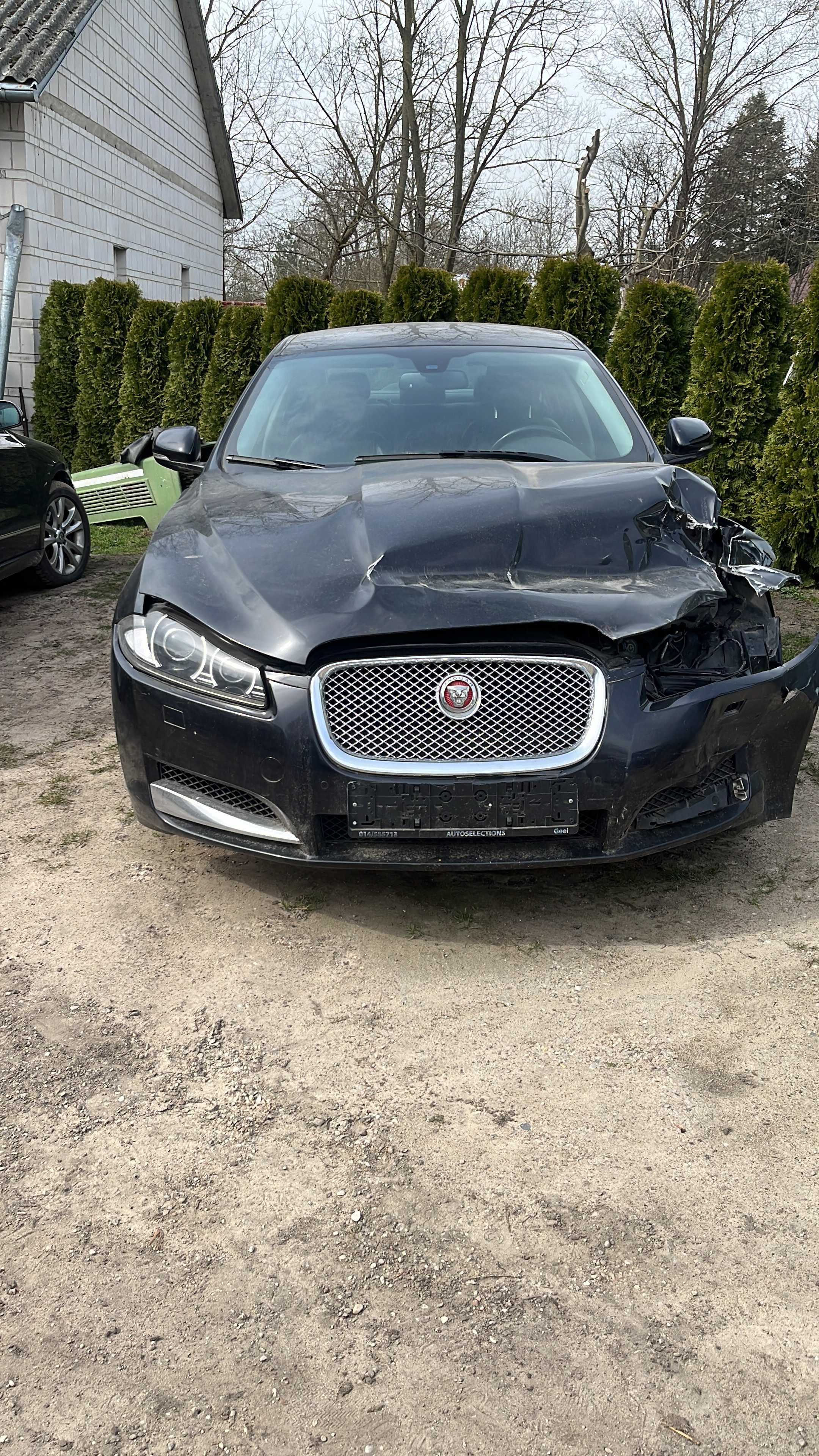 Sprzedam jaguara xf