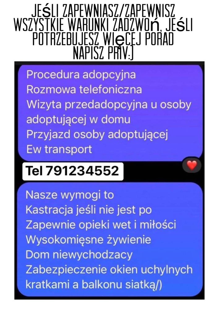 To maluszek stworzony dla ciebie!