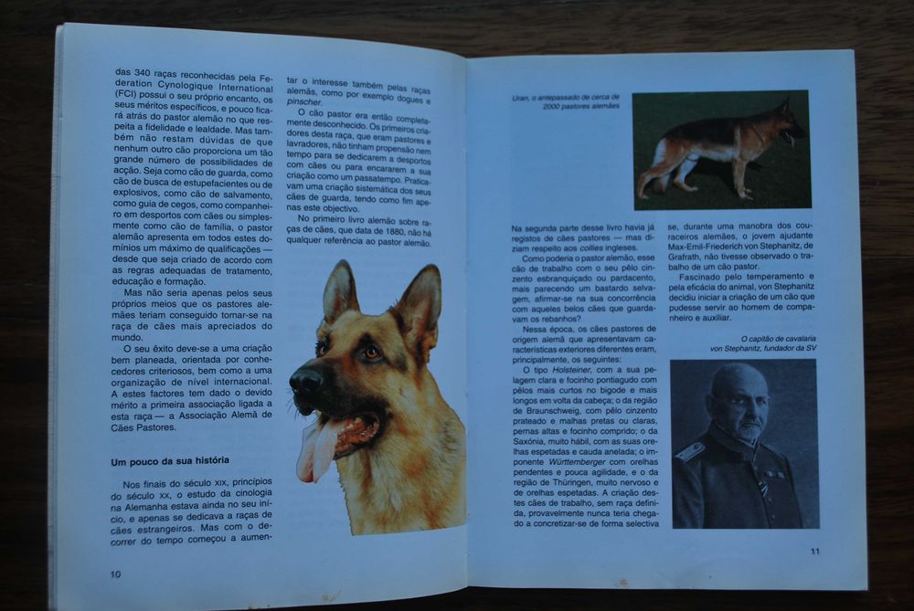 O Pastor Alemão de Reiner Voltz