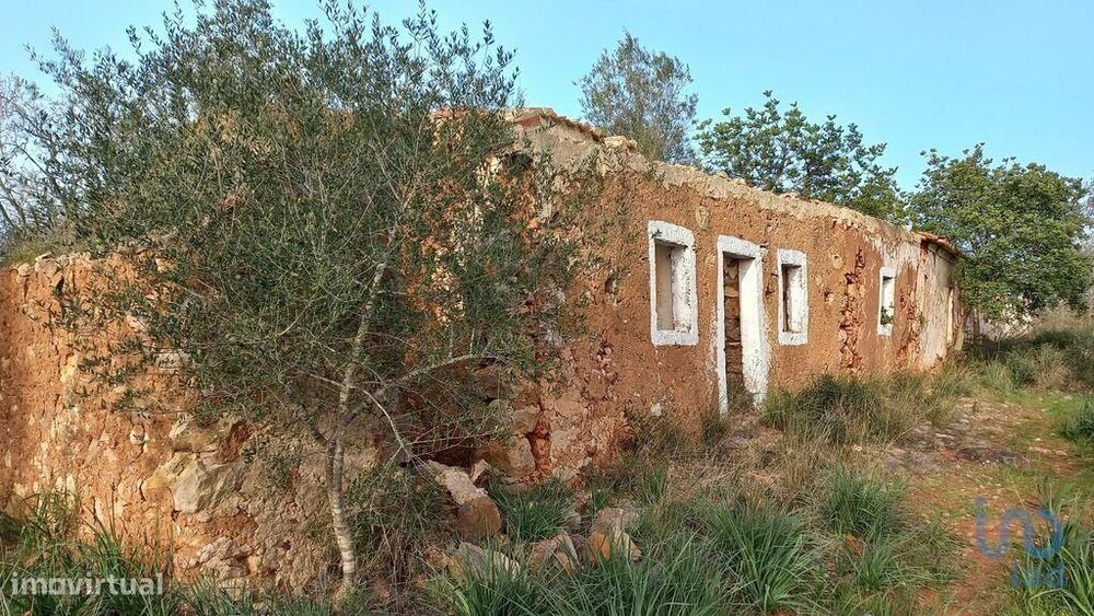 Casa de Campo T1 em São Bartolomeu de Messines de 194,00 m2