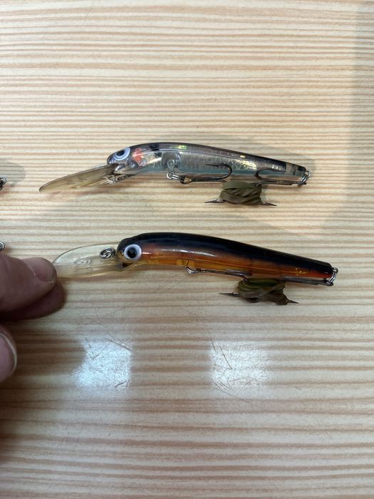 Amostras de corrico ou trolling Daves