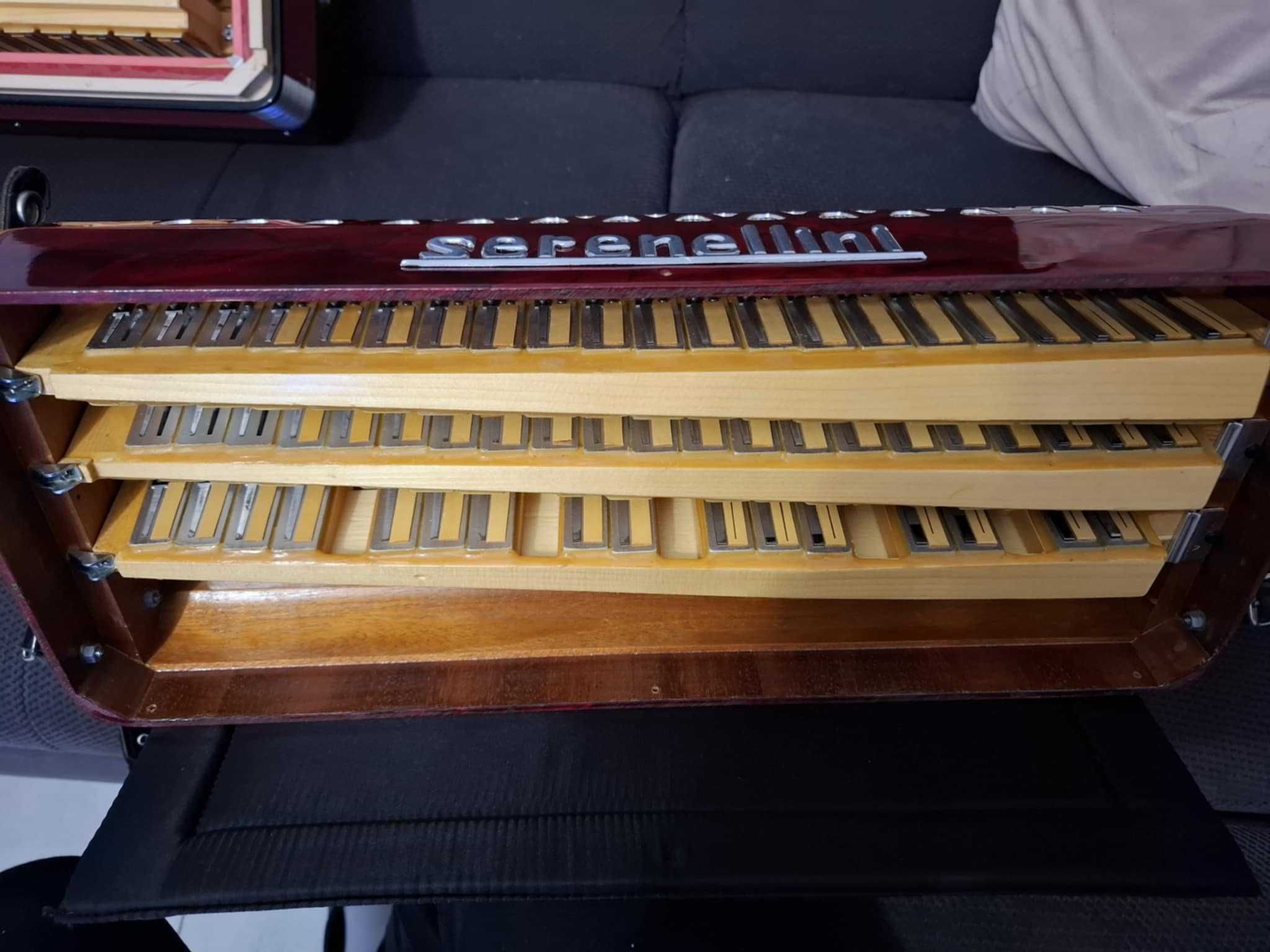 Serenellini 96 bas