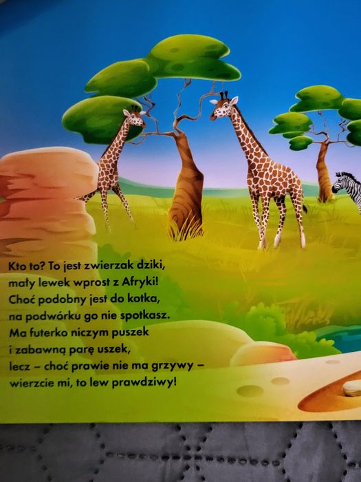 Kopciuszek, Jego wysokość lew,Niśmiały Kotek, Czerwony kapturek