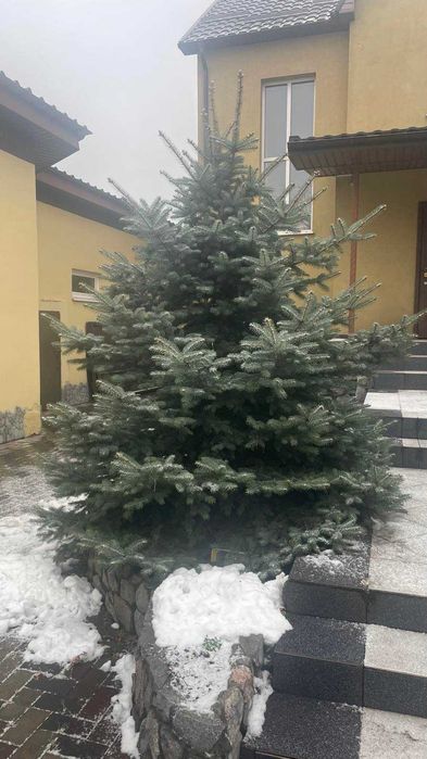 Гарні умови проживання за містом селище Зернове