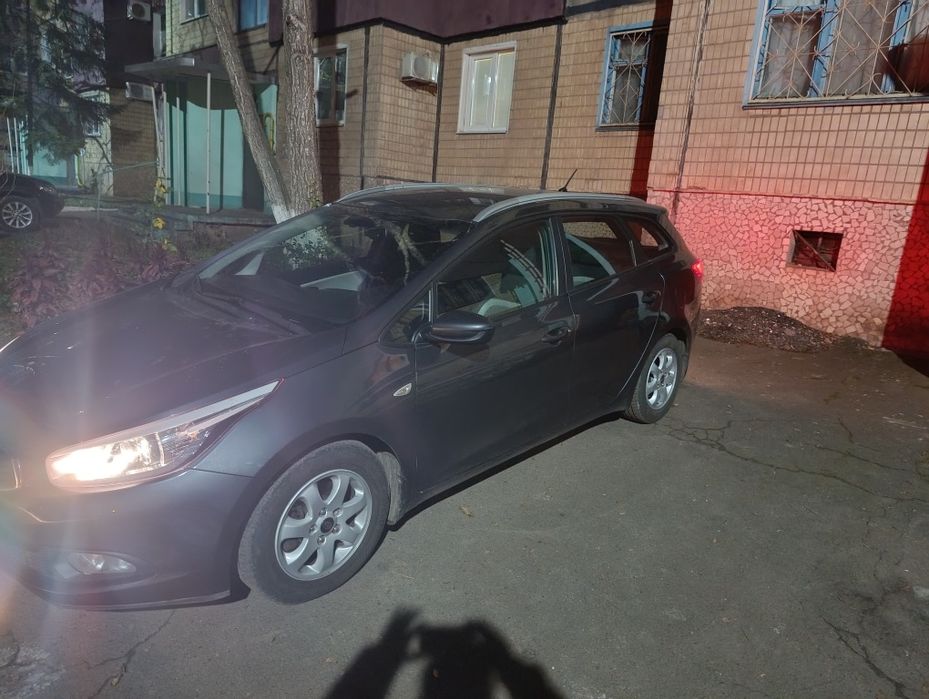 Оренда та прокат авто подобова і довгострокова Reno,KIA, Hyundai, Volk