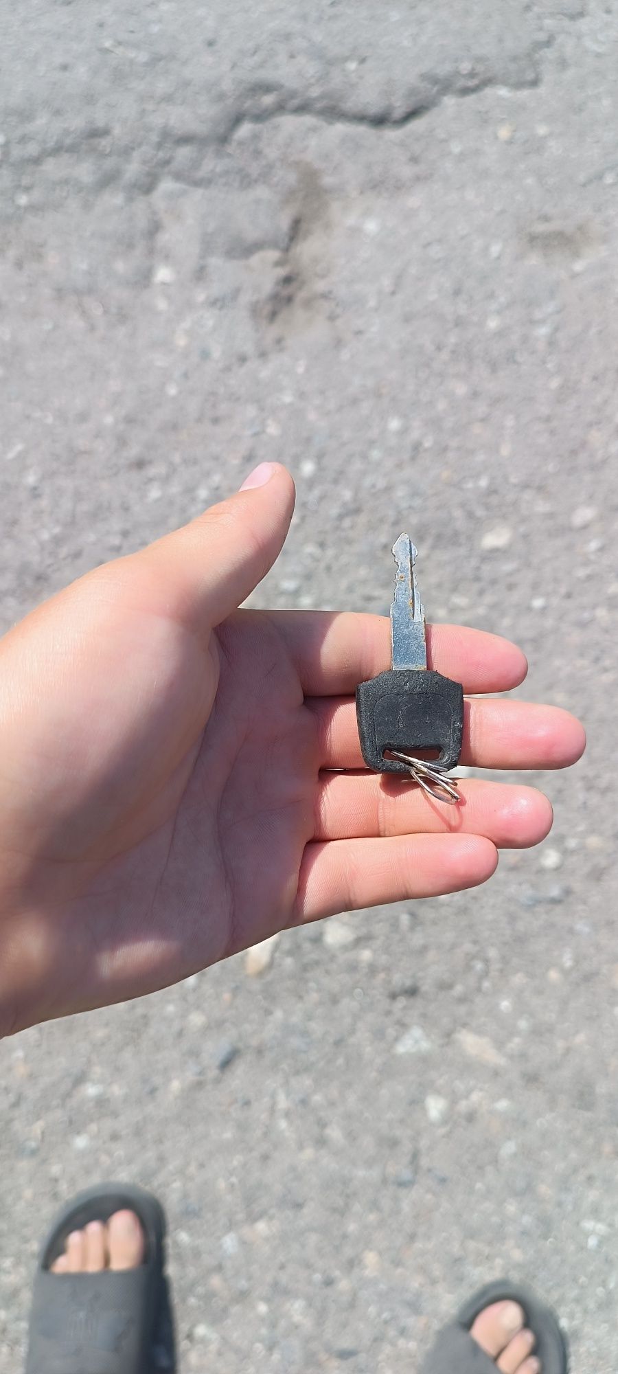 Отдам владельцу в руки