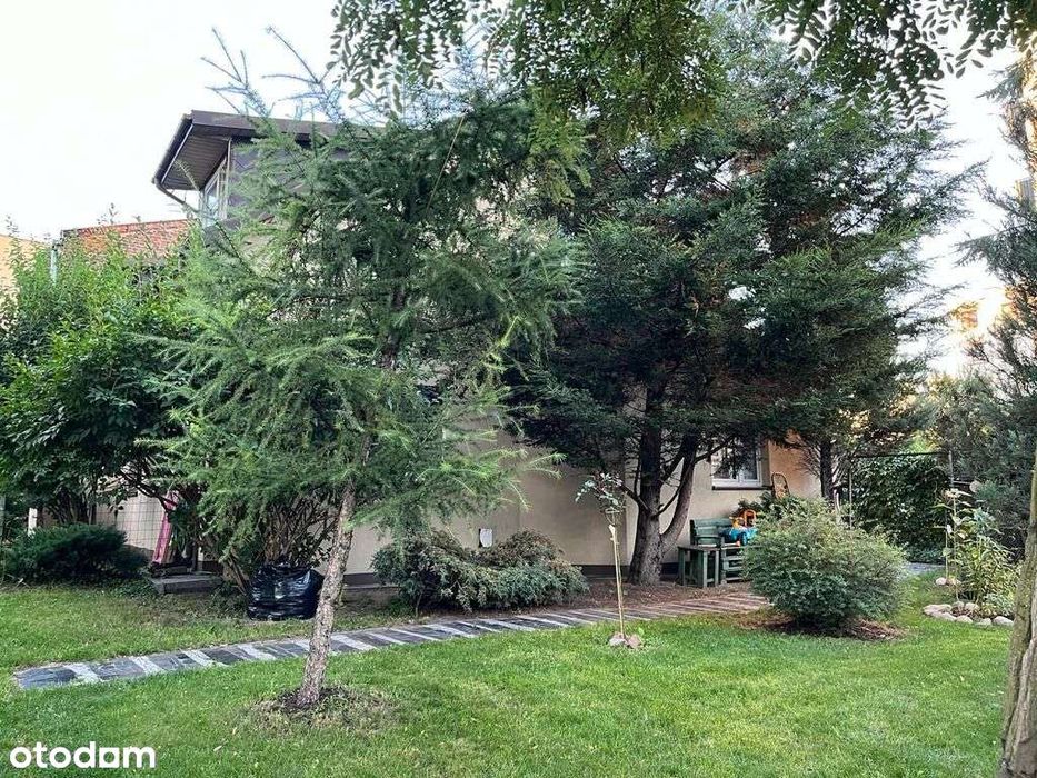 3 pok. mieszk. z ogródkiem i miejscem parkingowym