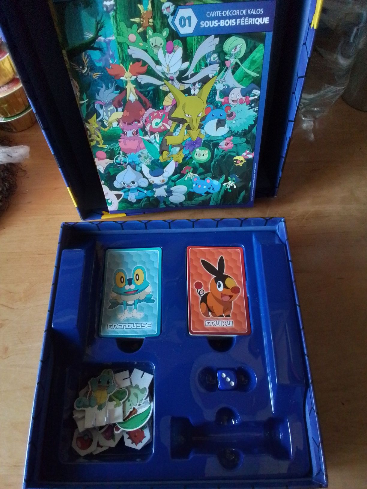 Игра покемон на французском языке. Игра Pokemon