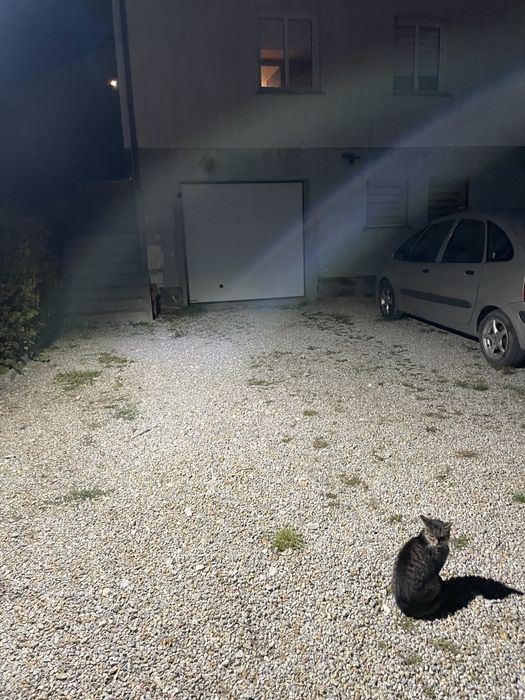 Minikoparka wynajem, usługi minikoparką, fundamenty przyłącza sieci